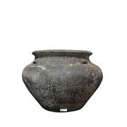 Janie Jar w/Lugs gallery detail image