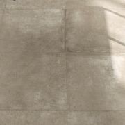 Maxfine Walk On Hazel Panels gallery detail image