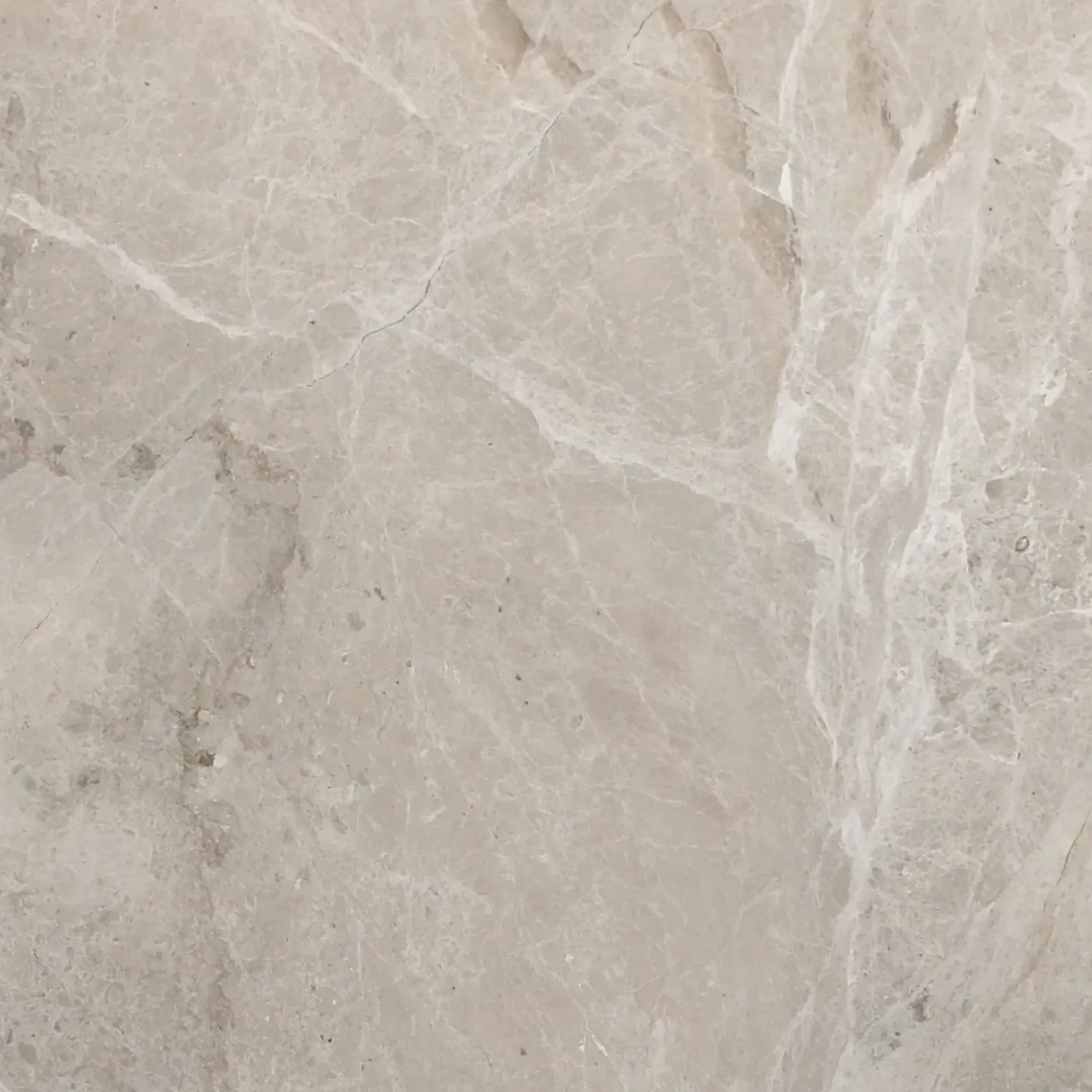 Papillon Limestone Benchtop gallery detail image