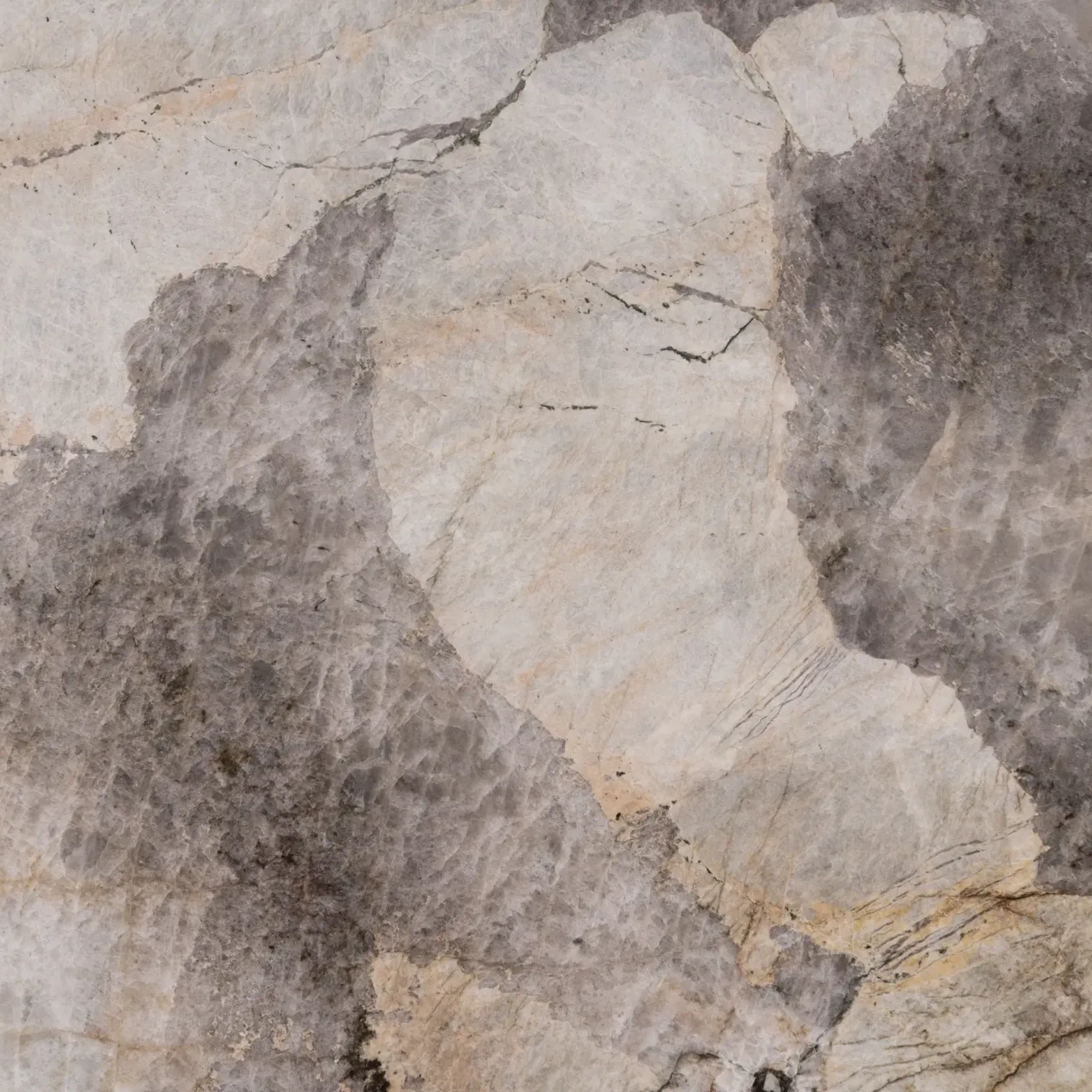 Patagonia Quartzite Benchtop gallery detail image