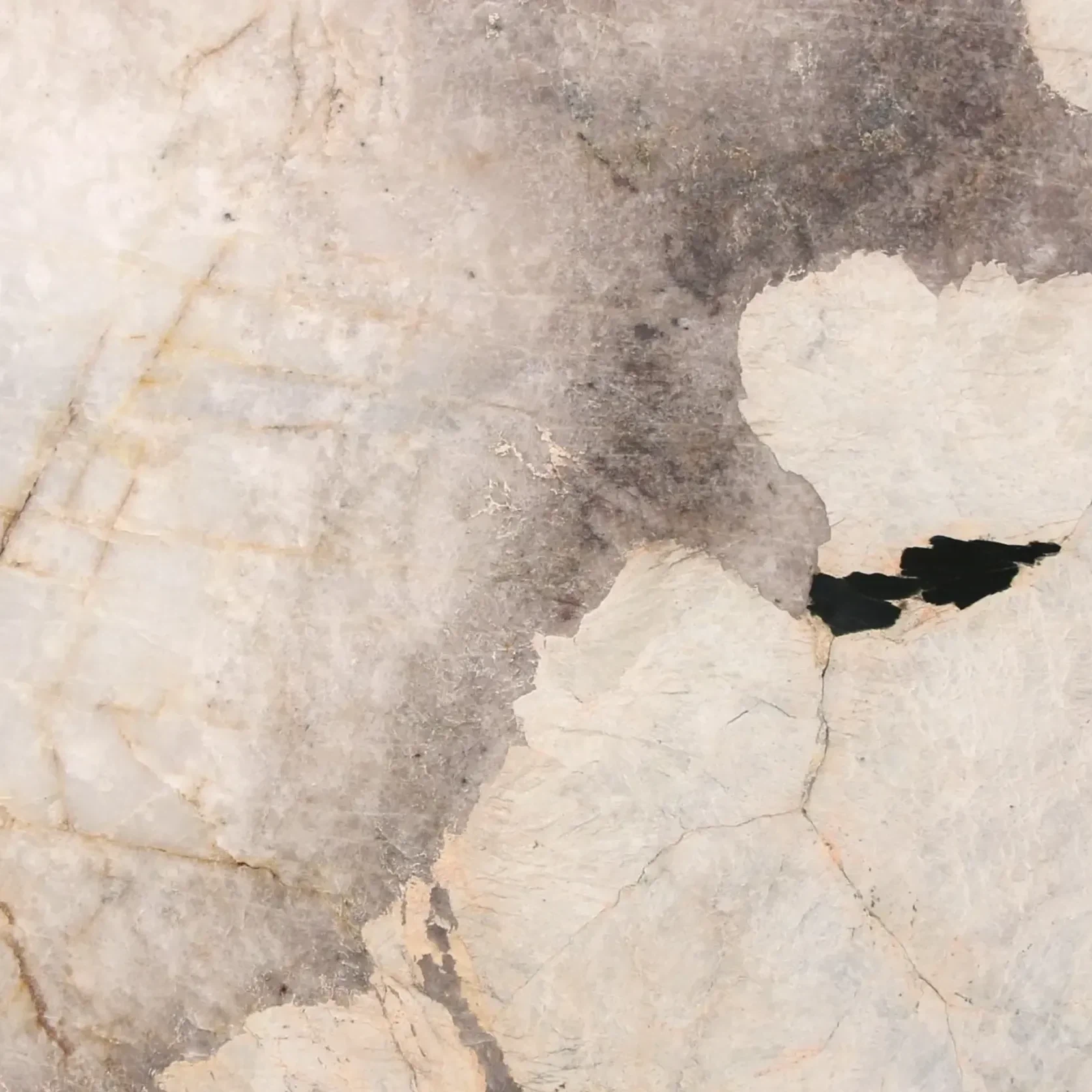 Patagonia Quartzite Benchtop gallery detail image