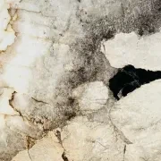 Patagonia Quartzite Benchtop gallery detail image