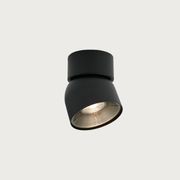 Pitcher Single Downlight gallery detail image