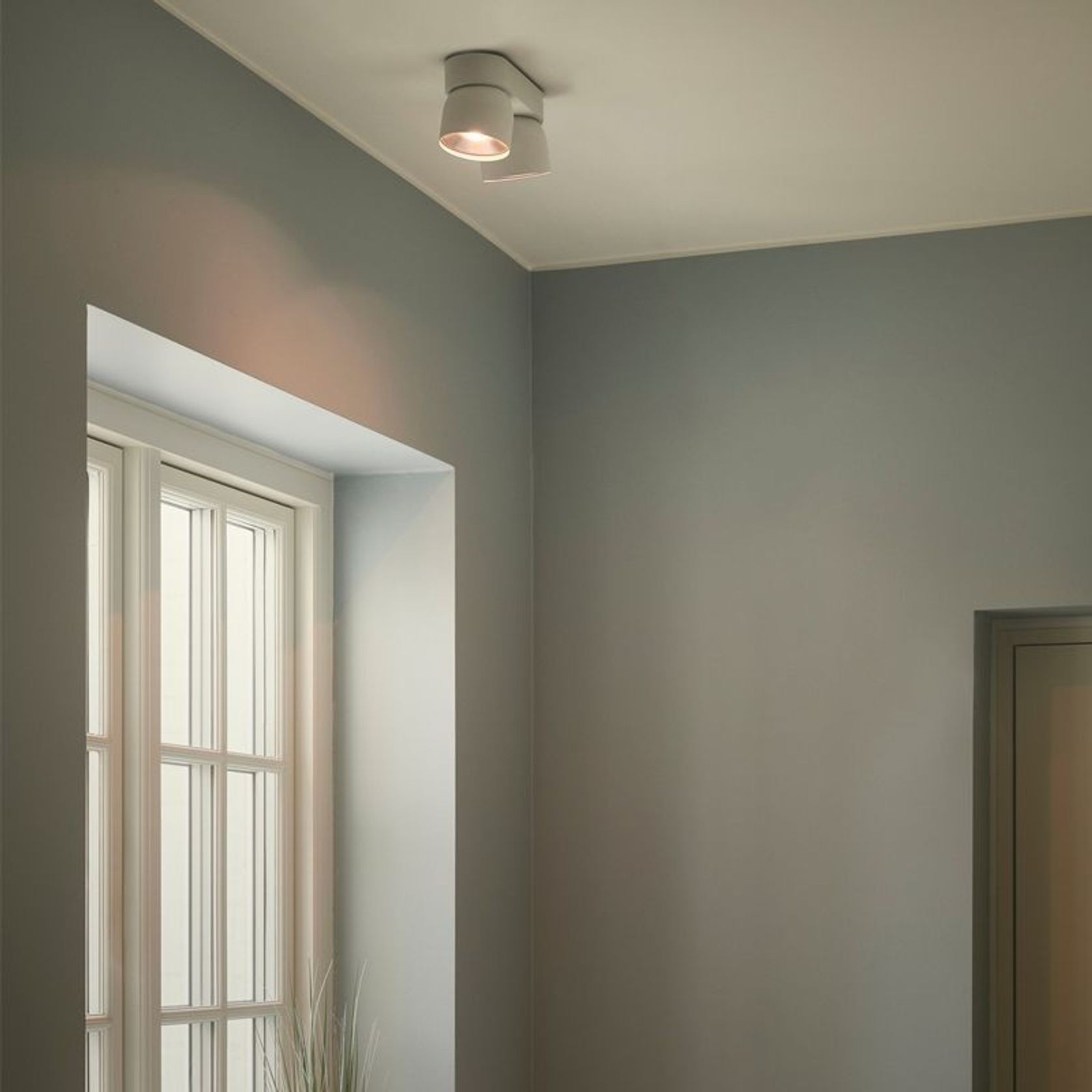 Pitcher 2-Spot Downlight gallery detail image