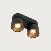 Pitcher 2-Spot Downlight gallery detail image