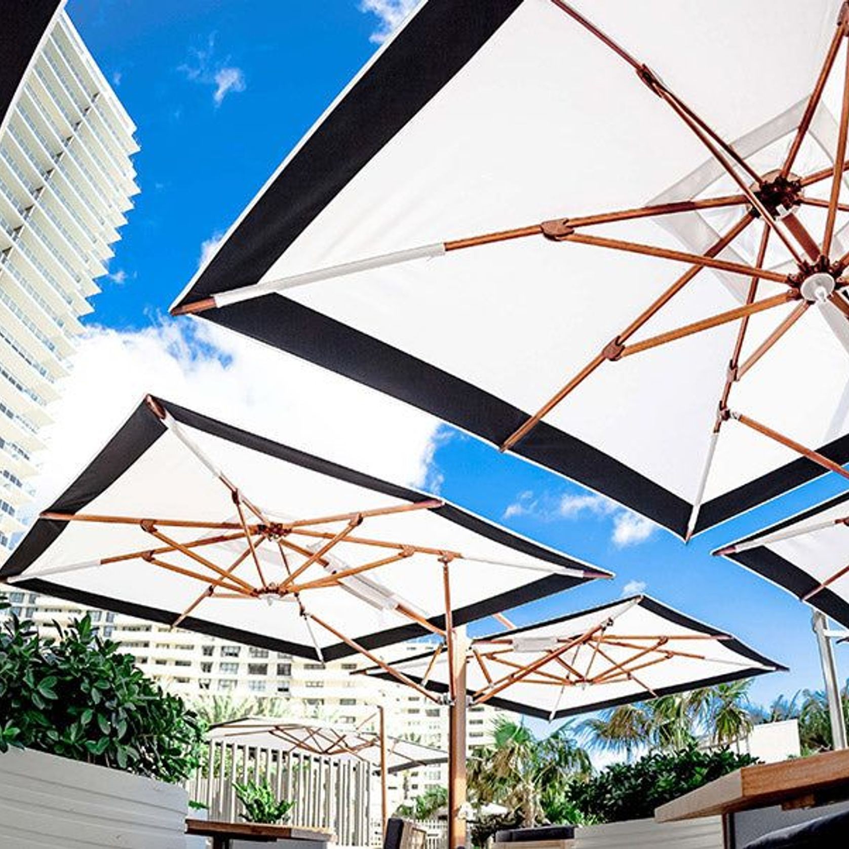 Plantation Dual Cantilever Umbrella by Tuuci gallery detail image