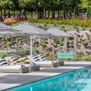 Premium Bluestone Pool Coping gallery detail image