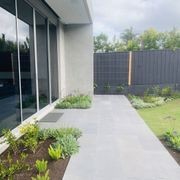 Premium Bluestone Pool Coping gallery detail image