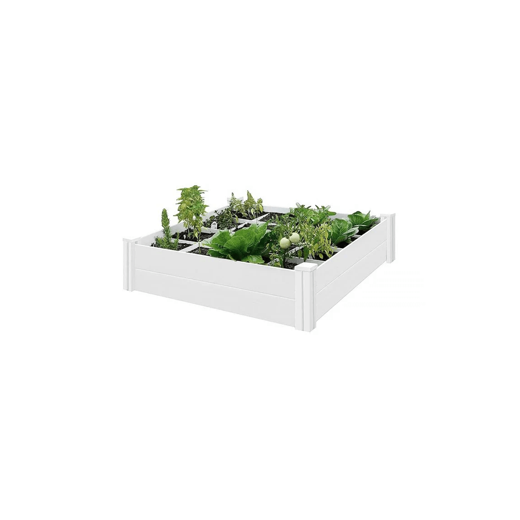 Modular Raised Garden Bed with Grow Grid 115 x 115 x 33cm gallery detail image