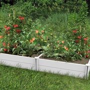 Modular Raised Garden Bed with Grow Grid 115 x 115 x 33cm gallery detail image