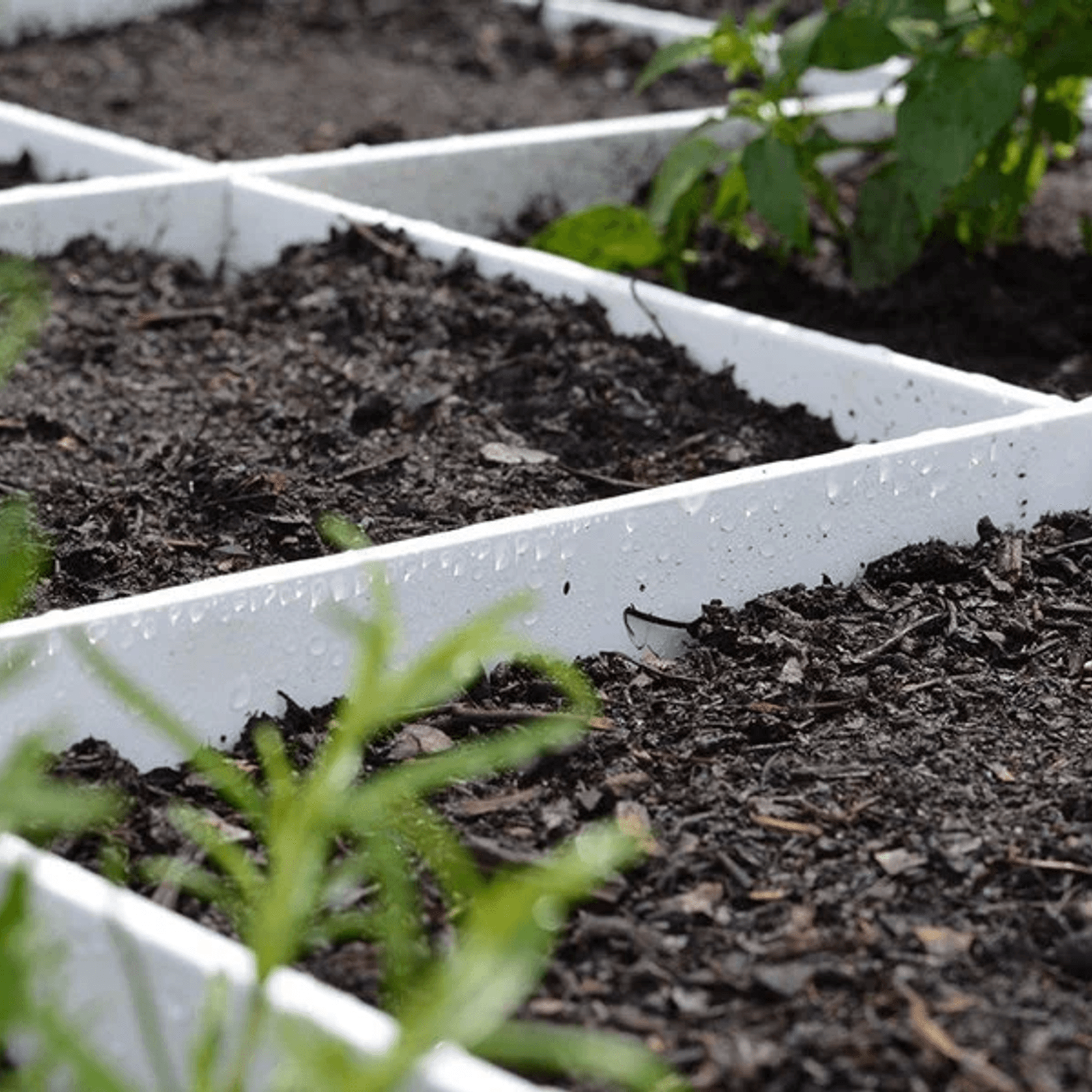 Modular Raised Garden Bed with Grow Grid 115 x 115 x 33cm gallery detail image