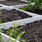 Modular Raised Garden Bed with Grow Grid 115 x 115 x 33cm gallery detail image