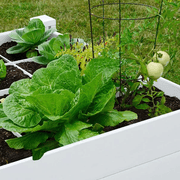 Modular Raised Garden Bed with Grow Grid 115 x 115 x 33cm gallery detail image
