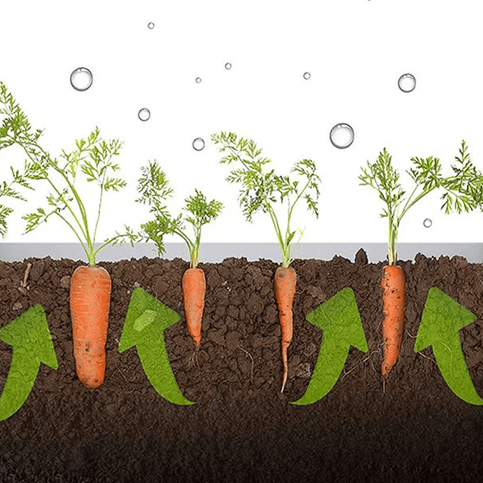 Modular Raised Garden Bed with Grow Grid 115 x 115 x 33cm gallery detail image