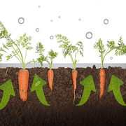 Modular Raised Garden Bed with Grow Grid 115 x 115 x 33cm gallery detail image