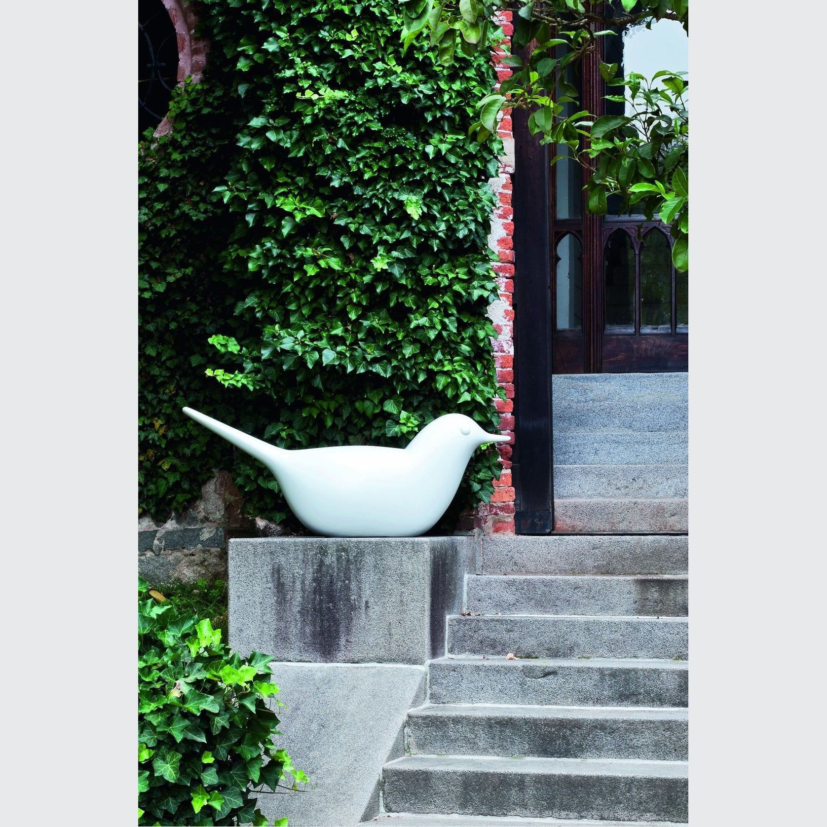 Paloma gallery detail image