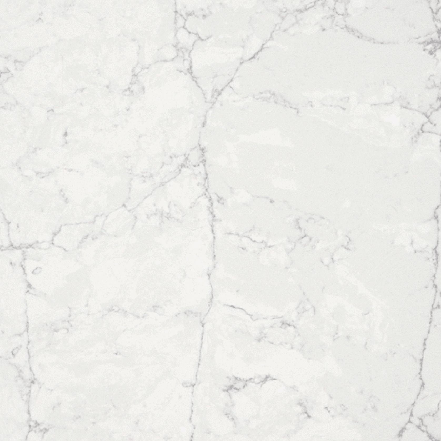 Pearl Jasmine gallery detail image