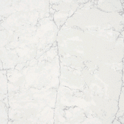 Pearl Jasmine gallery detail image