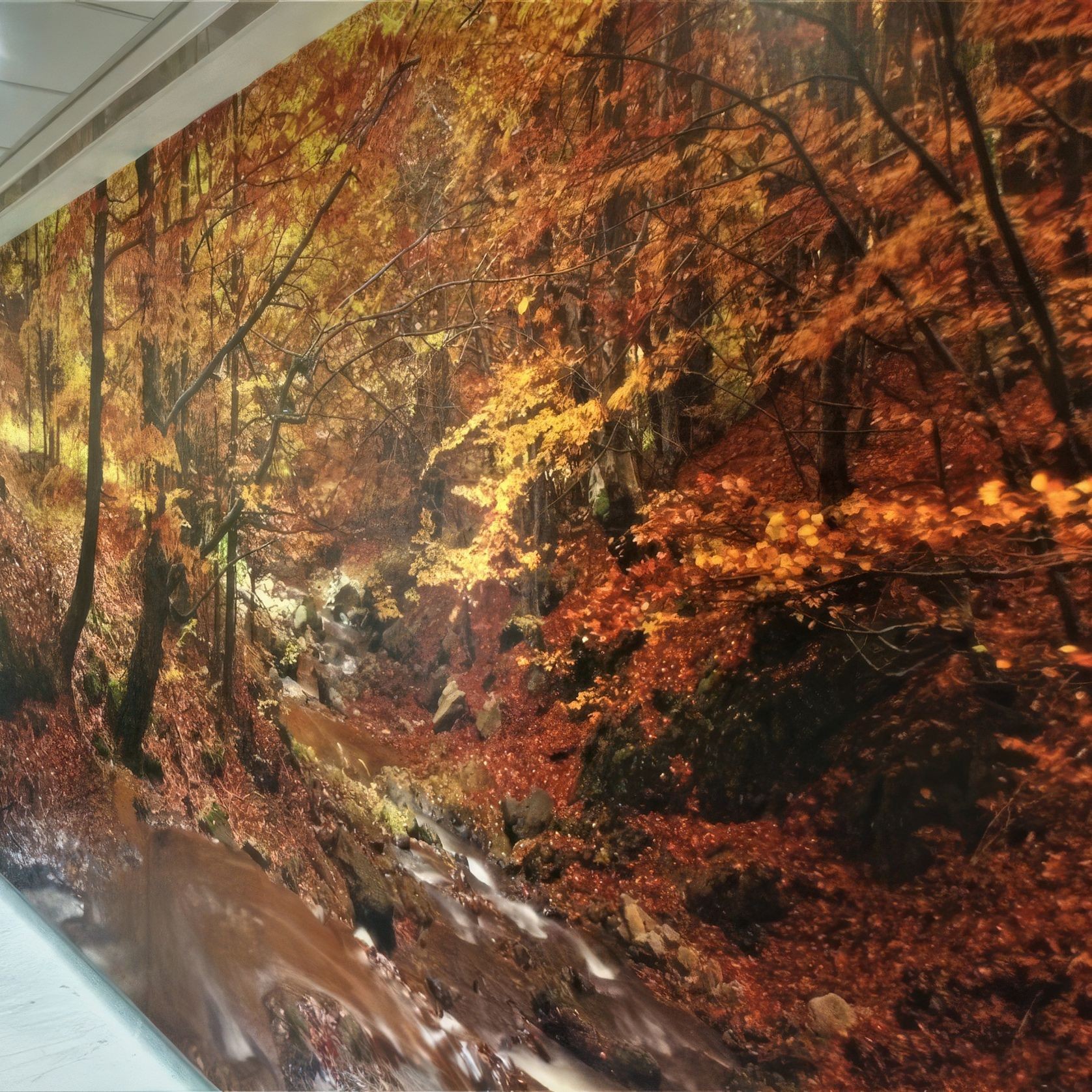 AM-Vision® | Custom Decorative Wall Cladding gallery detail image