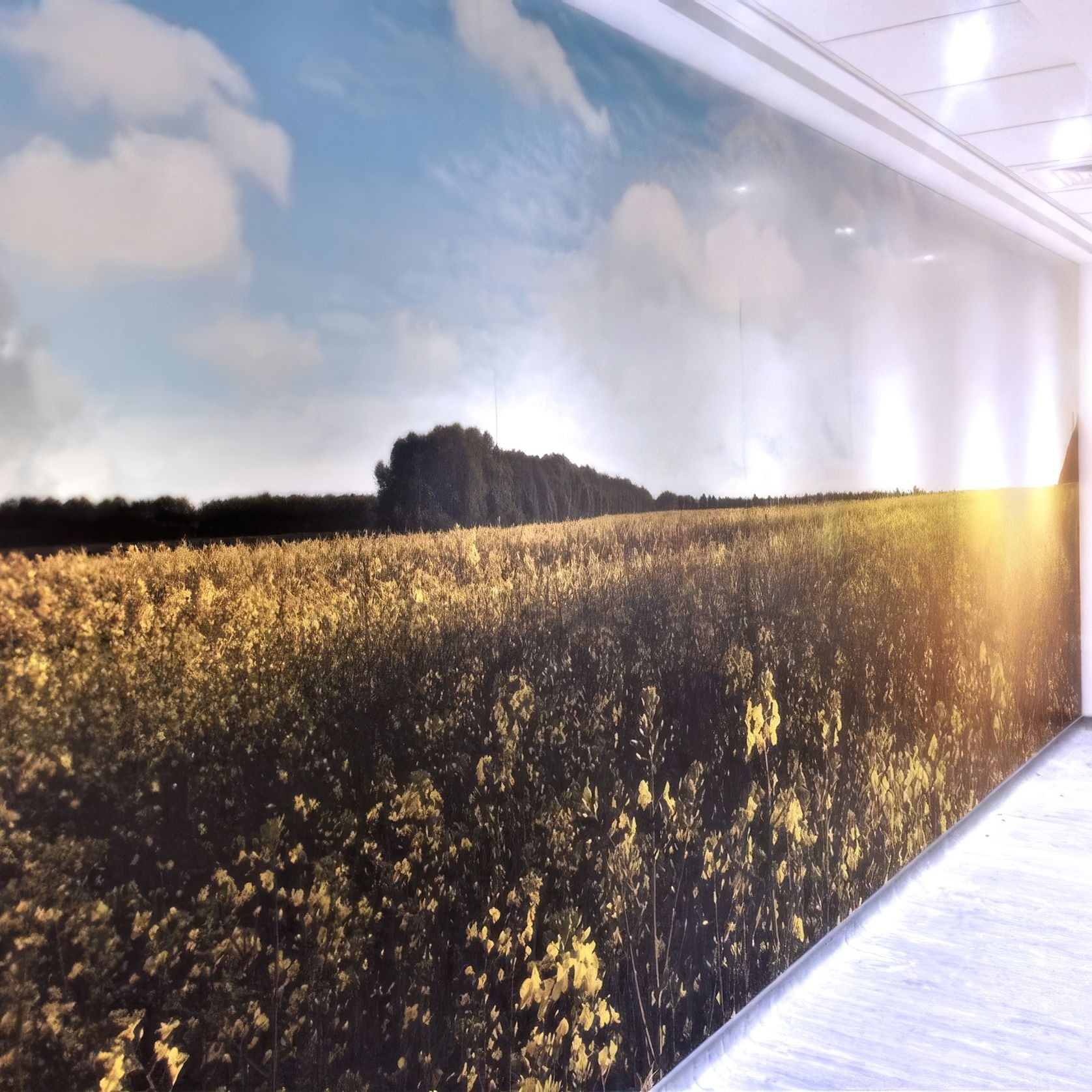 AM-Vision® | Custom Decorative Wall Cladding gallery detail image