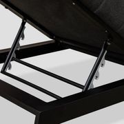 Piha Lounger - Black gallery detail image