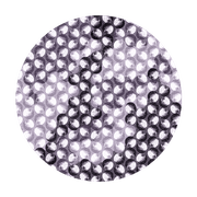 Pods gallery detail image