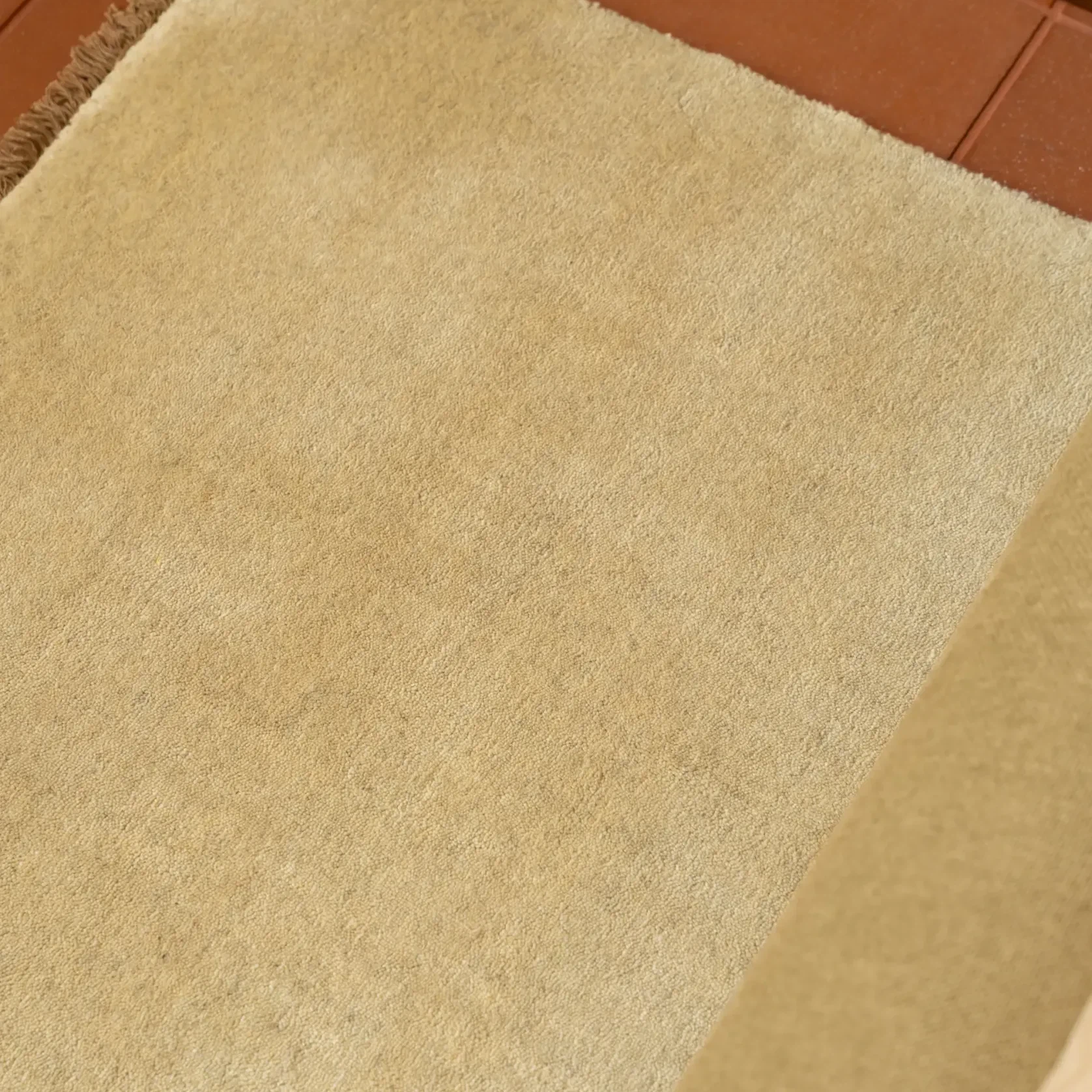 Anya Rug - Butter 200cm x 300cm gallery detail image