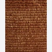 Rico Rug - Paprika 300cm x 400cm gallery detail image