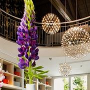 Raimond II Suspension Lamp gallery detail image