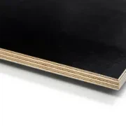 Riga Form Black Baltic Birch Plywood WBP gallery detail image