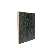 Riga Hive Black Birch Plywood 1220x2440mm gallery detail image