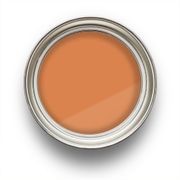 Rise n Shine gallery detail image