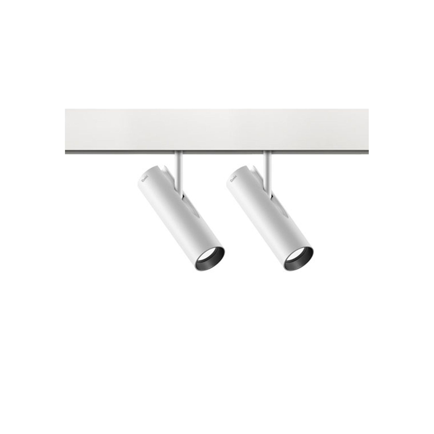 Robin gallery detail image