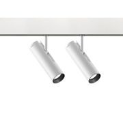 Robin gallery detail image