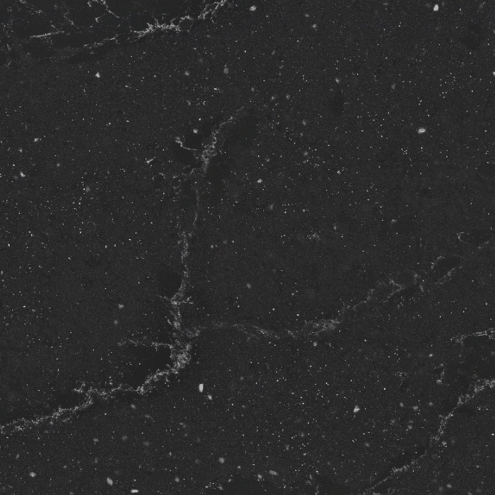 Romantic Ash gallery detail image