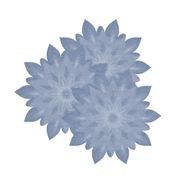 Tea gallery detail image