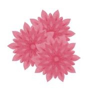 Tea gallery detail image