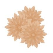 Tea gallery detail image