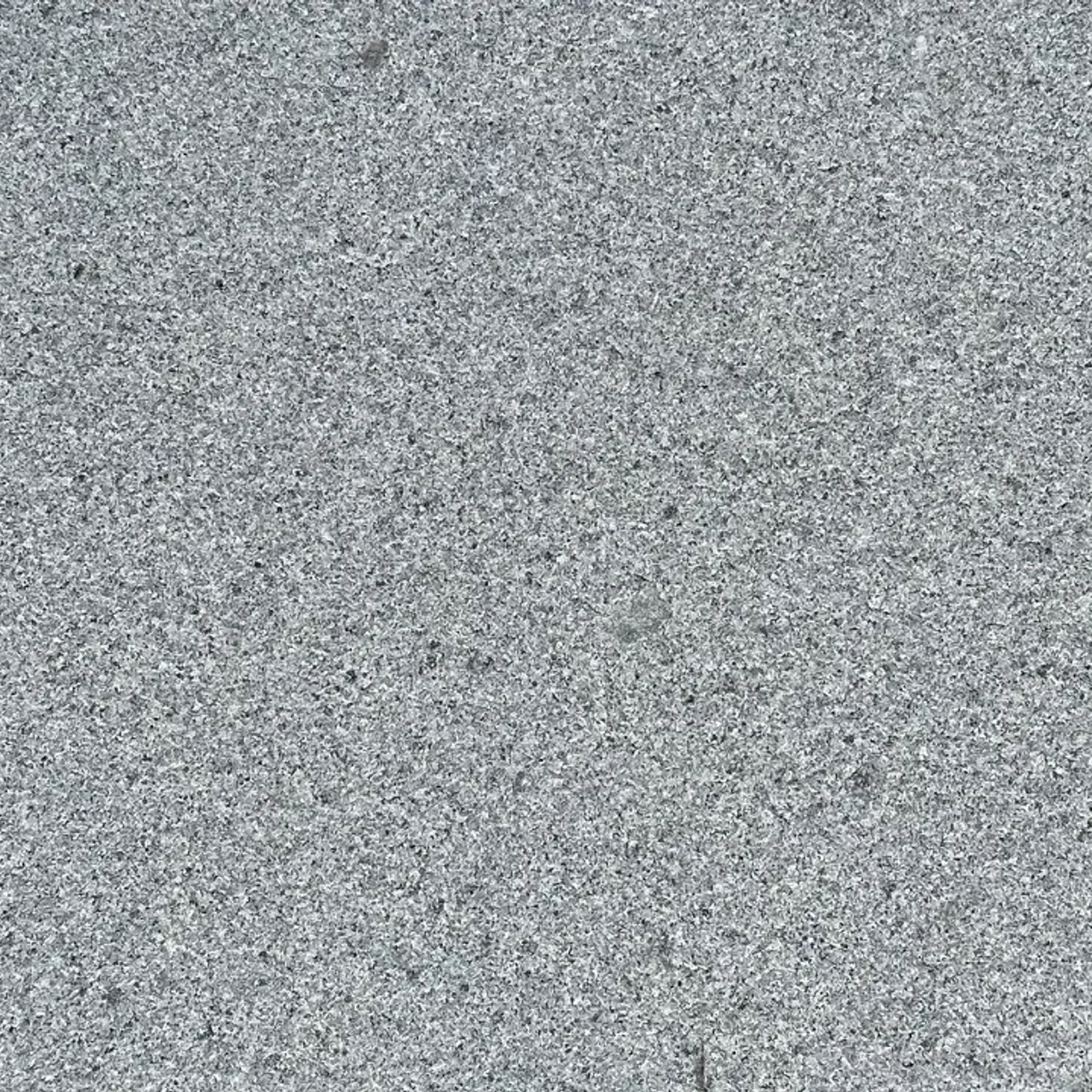Silver Grey Granite Pool Coping gallery detail image