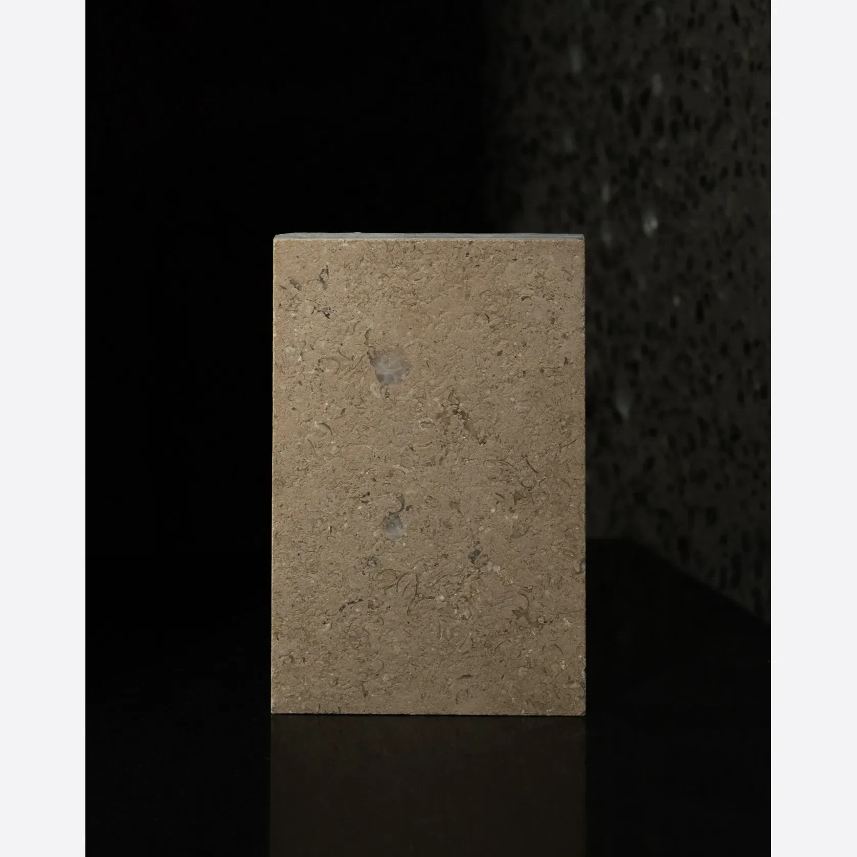 Sinai Pearl Leathered Limestone Porcelia gallery detail image