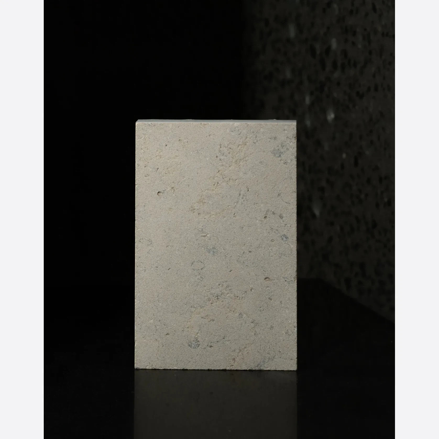 Sinai Pearl Sandblasted Limestone Porcelia gallery detail image