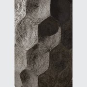 AUO gallery detail image