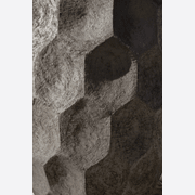 AUO gallery detail image