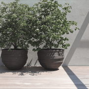 UF gallery detail image