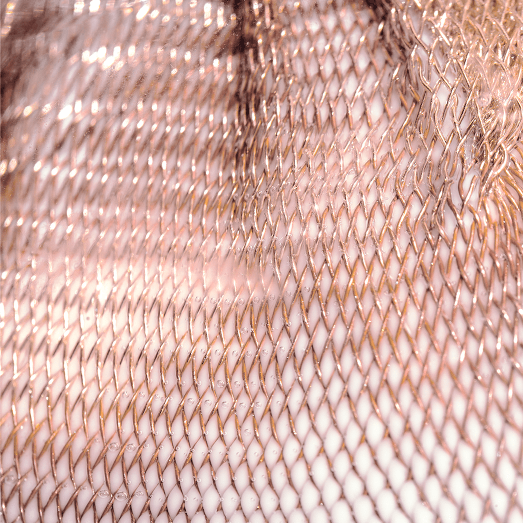 84.3 gallery detail image