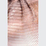 84.3 gallery detail image