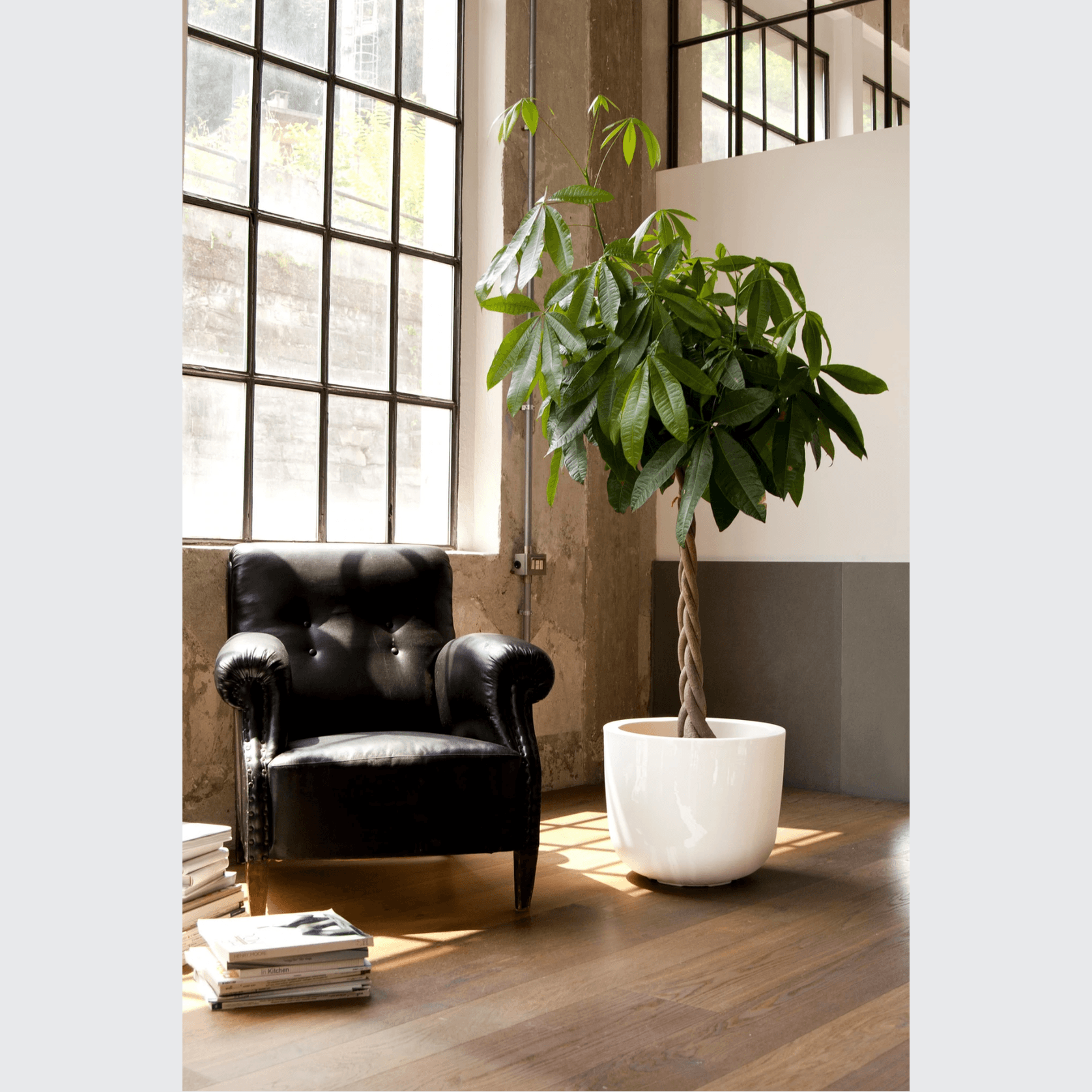 Cup gallery detail image