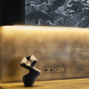 13 Carbon 2 Gang Switch Grid Faceplate gallery detail image