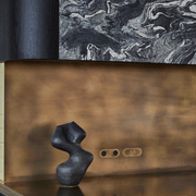 13 Carbon Double Outlet Faceplate gallery detail image