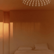 Skynest Ceiling gallery detail image